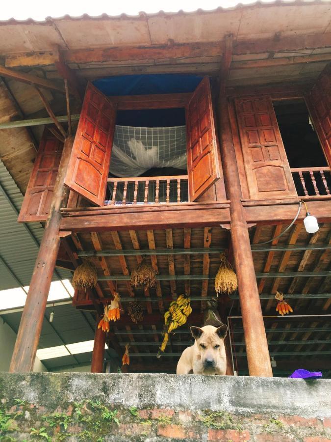 Shan Tea Homestay Ha Giang Kültér fotó